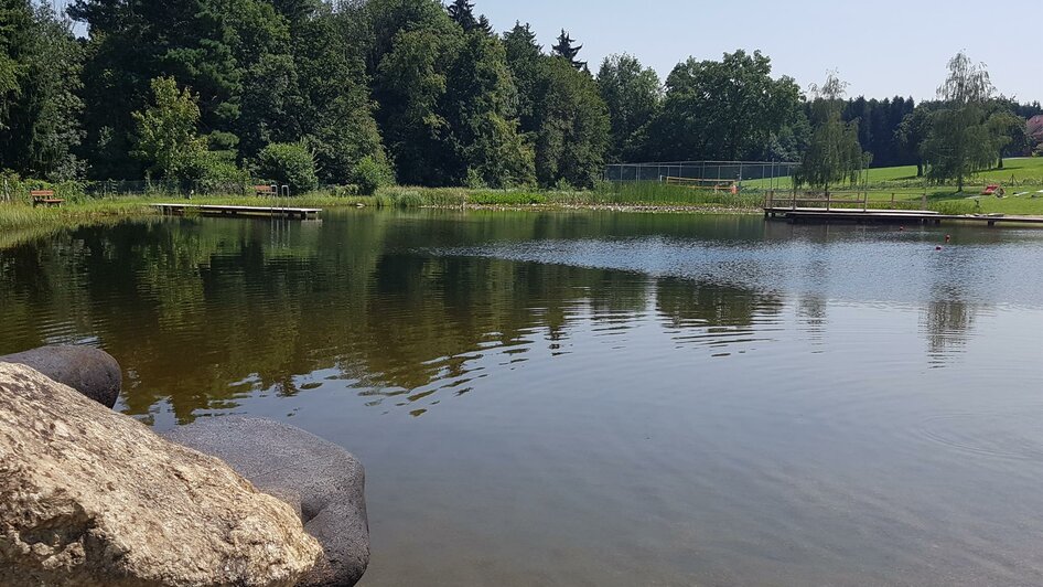 Naturbadeteich_Blick auf Teich_Oststeiermark | © Christine Schwetz