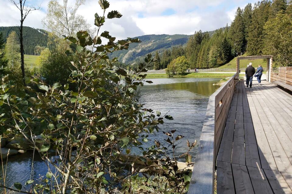 Naturjuwel Moorlehrpfad Teichalm - Impression #1 | © Tourismusverband Oststeiermark