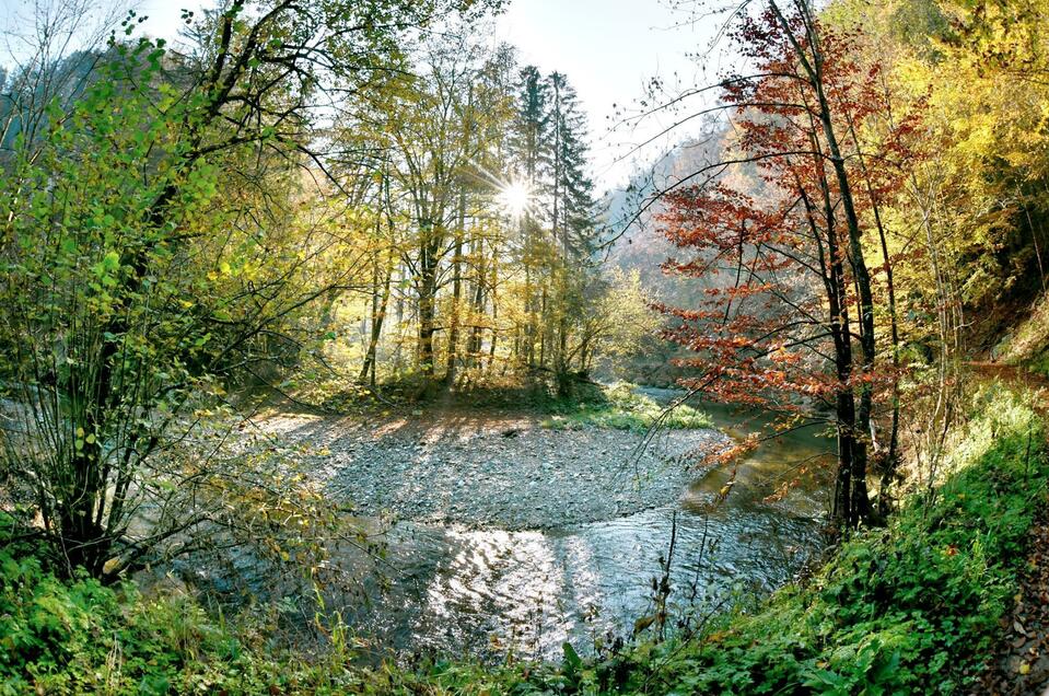 Naturjuwel Natura 2000 Raabklamm - Impression #1 | © Tourismusverband Oststeiermark