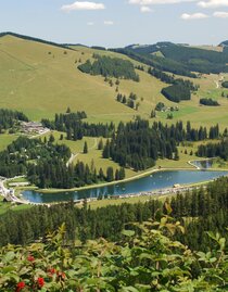 Almenland_Teichalm lake_Eastern Styria  | © Naturpark Almenland | Berghofer | © Naturpark Almenland