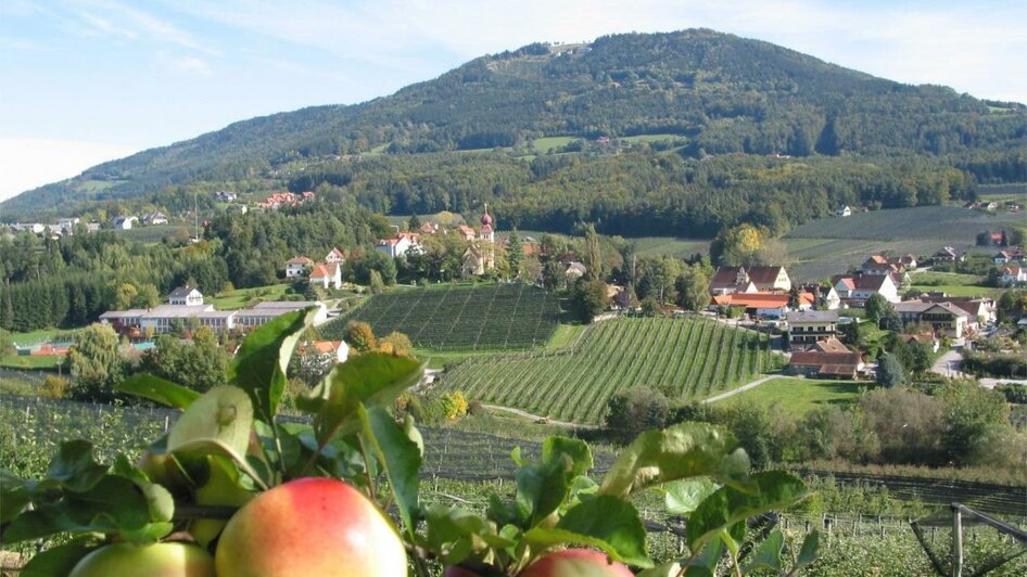 Obstbau Zöhrer_Apfelstraße_Oststeiermark | © Tourismusverband Oststeiermark