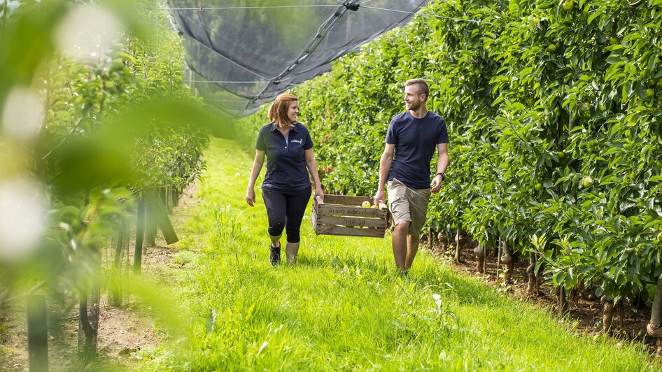 Obsthof Schneeflock_Im Obstgarten_Oststeiermark | © Obsthof Schneeflock