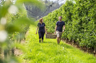 Fruit farm Schneeflock_In the orchard_Eastern Styria | © Obsthof Schneeflock