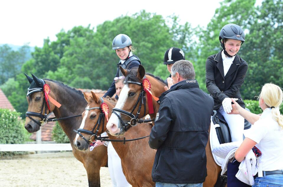 Horsefarm Strobl - Impression #1 | © Tourismusverband Oststeiermark