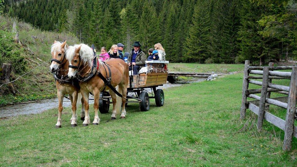 Pferdebetrieb_Kutsche_Oststeiermark | © Pferdebetrieb Hrovat