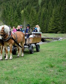 Pferdebetrieb_Kutsche_Oststeiermark | © Pferdebetrieb Hrovat | Doppelreiter Lisa | © Pferdebetrieb Hrovat