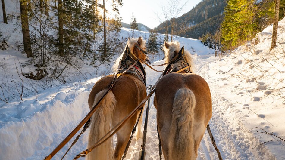 Pferdeschlittenfahren_Pferdeschlitten_Oststeiermar | © Tourismusverband Oststeiermark