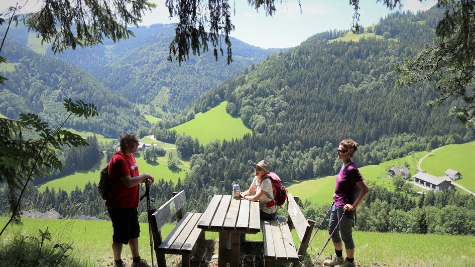 Picknickplatz_Stoakoglerweg_Aussicht_Oststeiermark | © Tourismusverband Oststeiermark