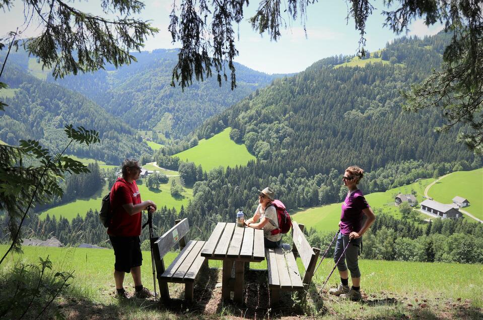 Picknicken am Stoakogler Weg - Impression #1 | © Tourismusverband Oststeiermark