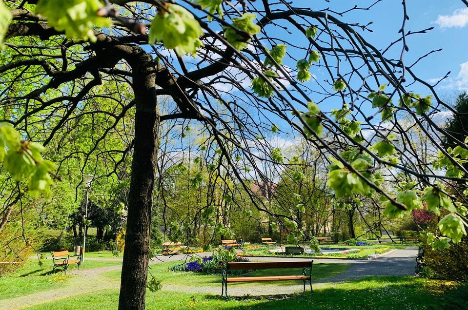 Picnicing in the city park Gleisdorf - Impression #1 | © Stadtgemeinde Gleisdorf_Tourismusverband Oststeiermark