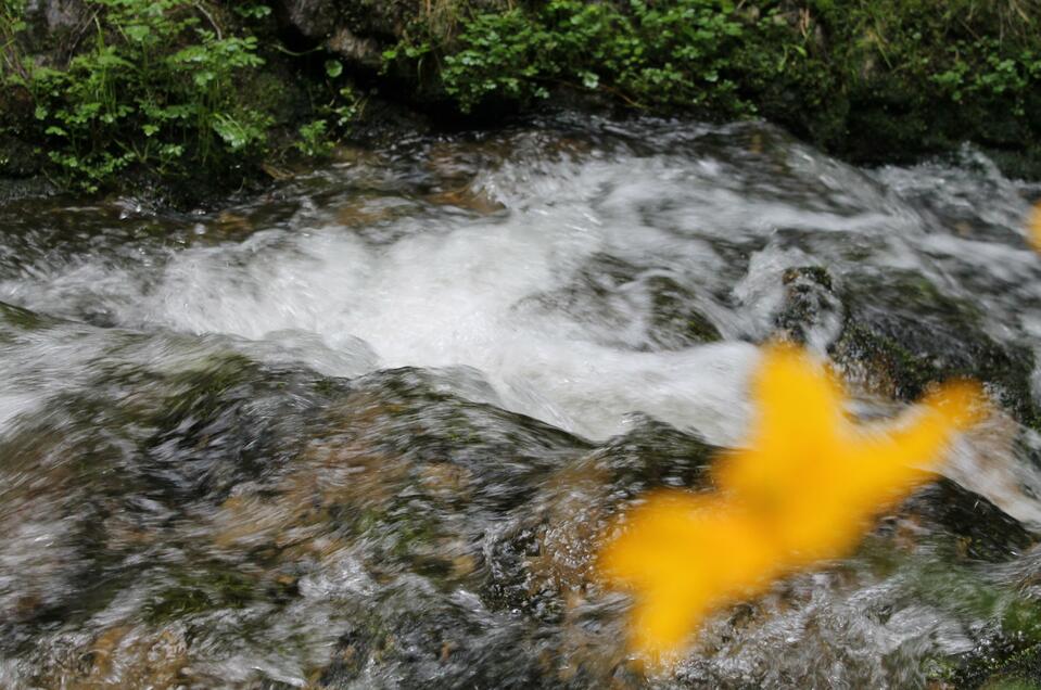 Picnic in the Romai - Impression #1 | © Tourismusverband Oststeiermark