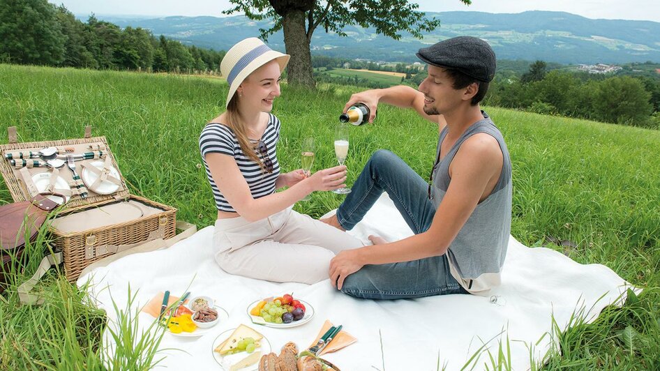 Retter Bio-Restaurant_Picknick_Oststeiermark | © Retter Bio-Natur-Resort