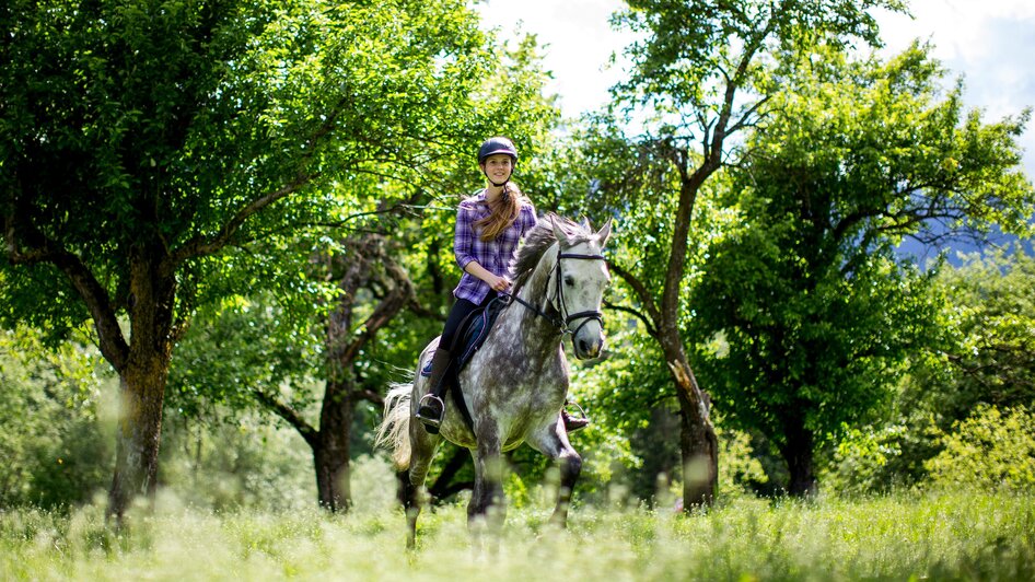 Reiten am Olachgut | © TVB Murau