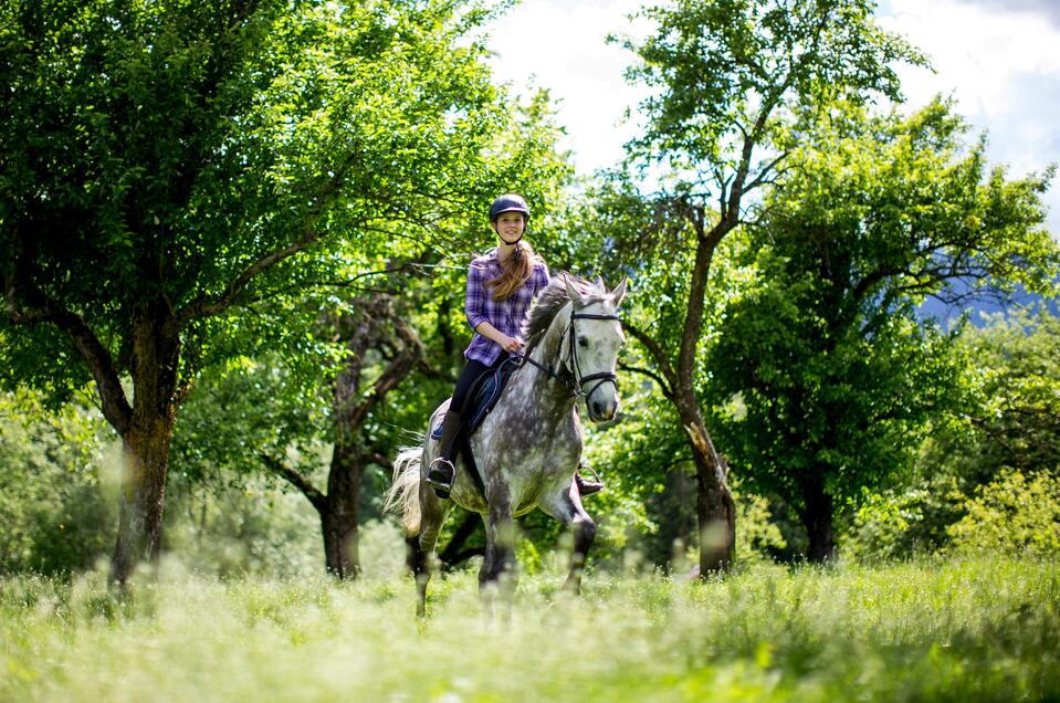 Reiten am Zechnerhof - Impression #1 | © TVB Murau