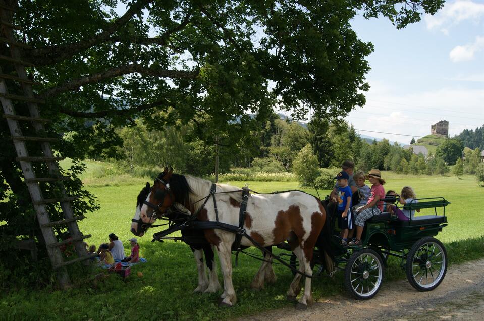 Riding at the Gasthof eitner - Impression #1