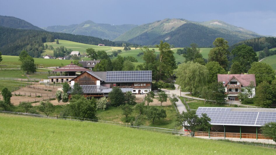 Pferdehof Stockner_Hofübersicht_Oststeiermark | © Anton Stockner