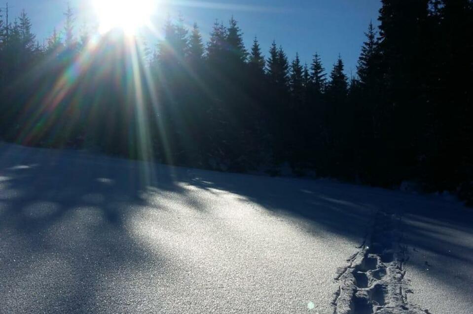 Snowshoerental hotel Fasching - Impression #1 | © Tourismusverband Oststeiermark