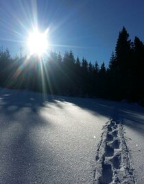 Schneeschuhverleih_Schneeschuhspur_Oststeiermark | © Tourismusverband Oststeiermark | © Tourismusverband Oststeiermark