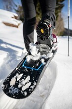 Snow shoe_hike_Eastern Styria | © Tourismusverband Oststeiermark