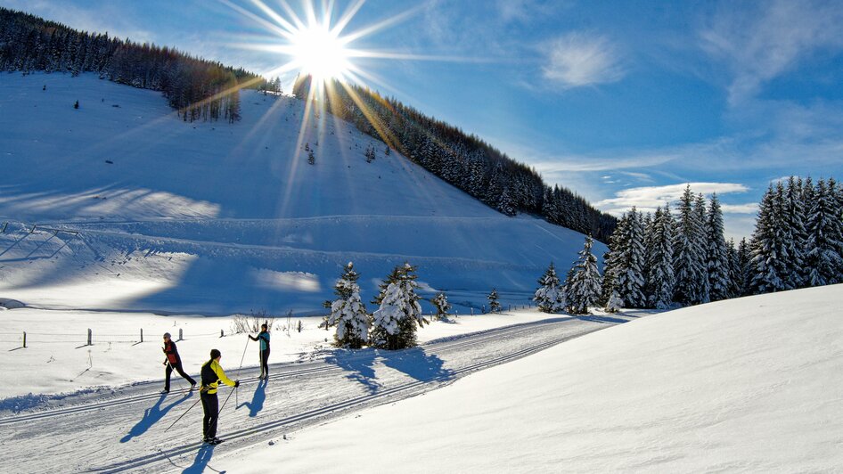 Langlaufen_Almenland Loipe_Oststeiermark | © Oststeiermark Tourismus