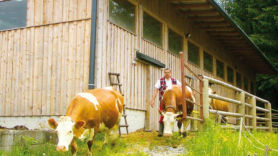 Leitner_Kühe_Oststeiermark | © Sennerei Leitner