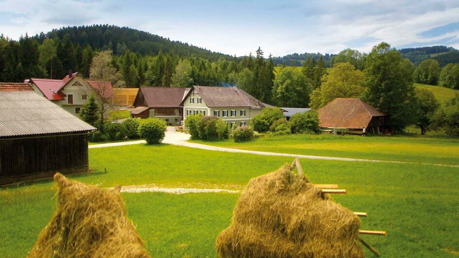 Sennerei Leitner_Hausansicht_Oststeiermark | © Sennerei Leitner