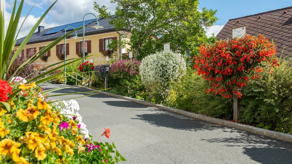 Straße der Sieger_Pölllauberg_Oststeiermark | © Helmut Schweighofer