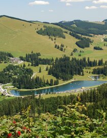 Teichalmsee_Panorama_Oststeiermark | © Tourismusverband Oststeiermark | Franz Berghofer | © Tourismusverband Oststeiermark