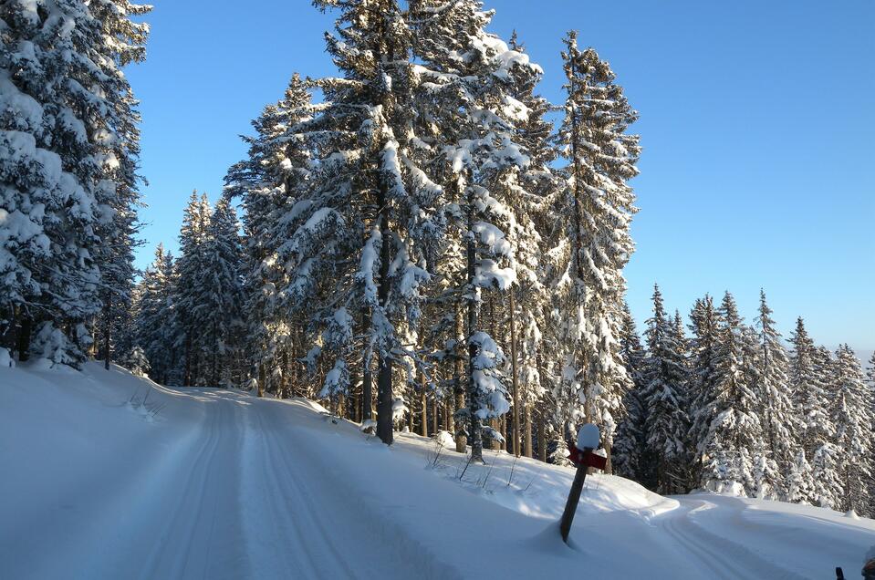 Teufelstein Loipe in Fischbach - Impression #1 | © Hans Zink