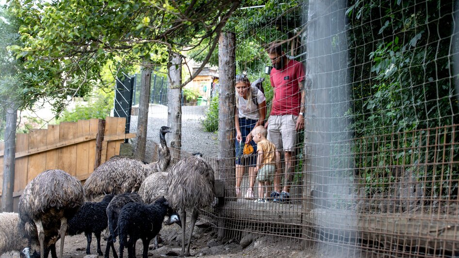 Familie beim Staunen | © TV Murau