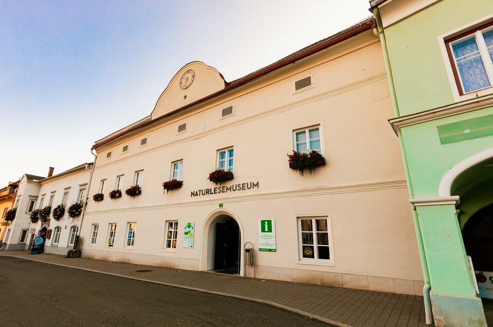 Tourist office Neumarkt - Impression #1