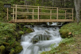 Weg zum Pöllauer Ursprung | © Gerda Kasparec