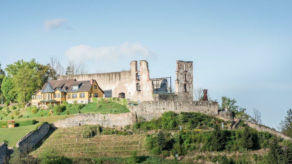 Voitsberger Schlossberg | © Lipizzanerheimat - Die Abbilderei