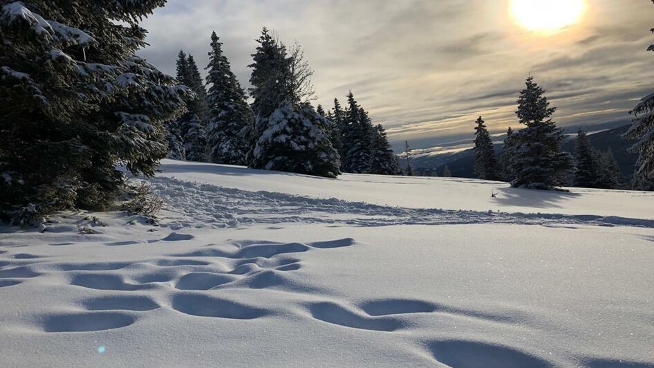 Schnee | © TV Südsteiermark