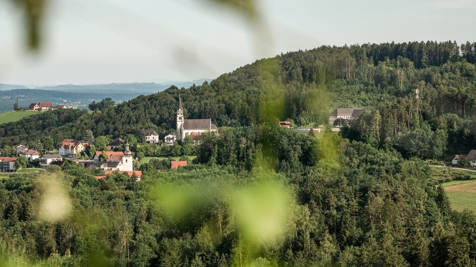 Weingut Johann Reicher vlg. Strimbauer - Impression #2.6