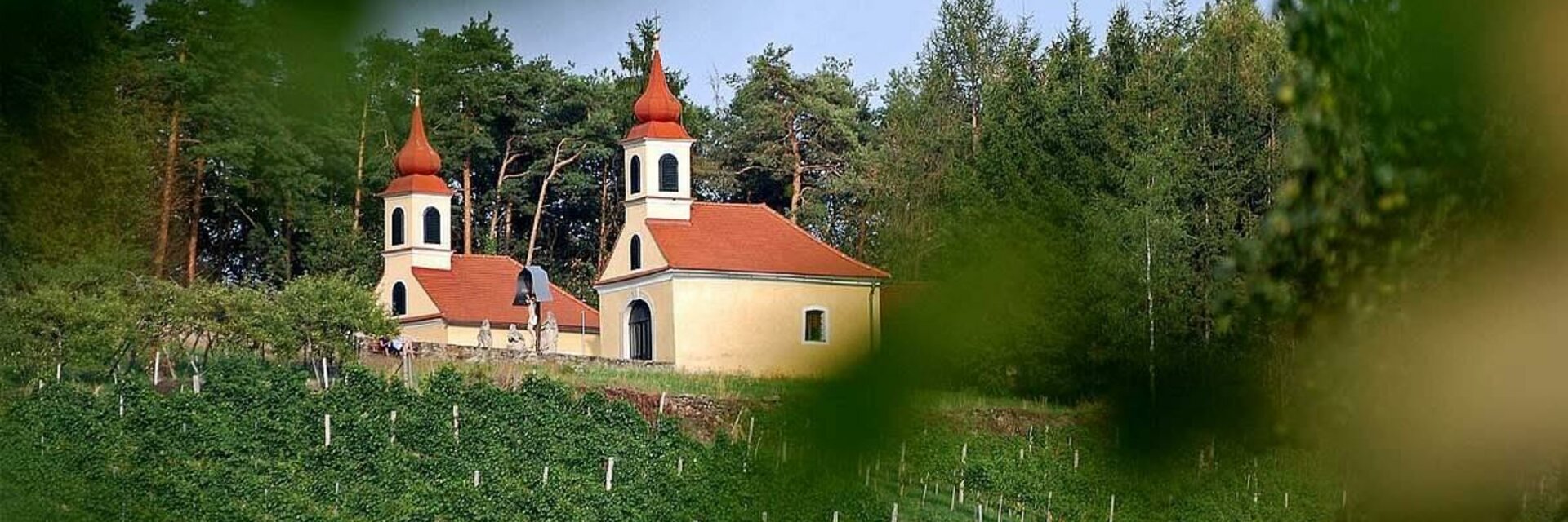 Weinlehrpfad Hoferberg - Impression #1 | © Tourismusverband Oststeiermark