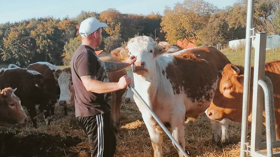 Fam. Taucher_Stefan und seine Kühe_Oststeiermark | © Taucher