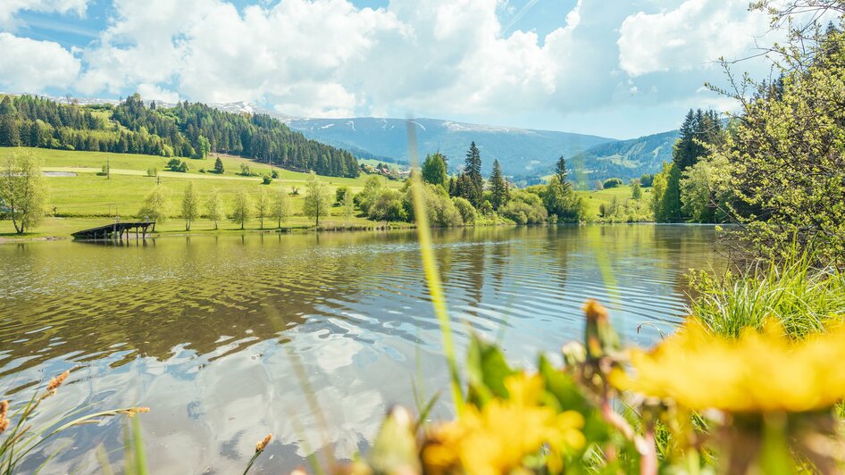 Badesee Mühlen | © Naturpark Zirbitzkogel-Grebenzen