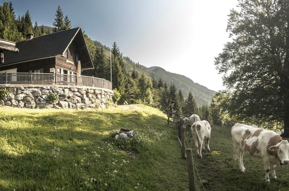 Bergbauern Lackneralm - Naturfreundehütte - Impression #1 | © Stefan Leitner