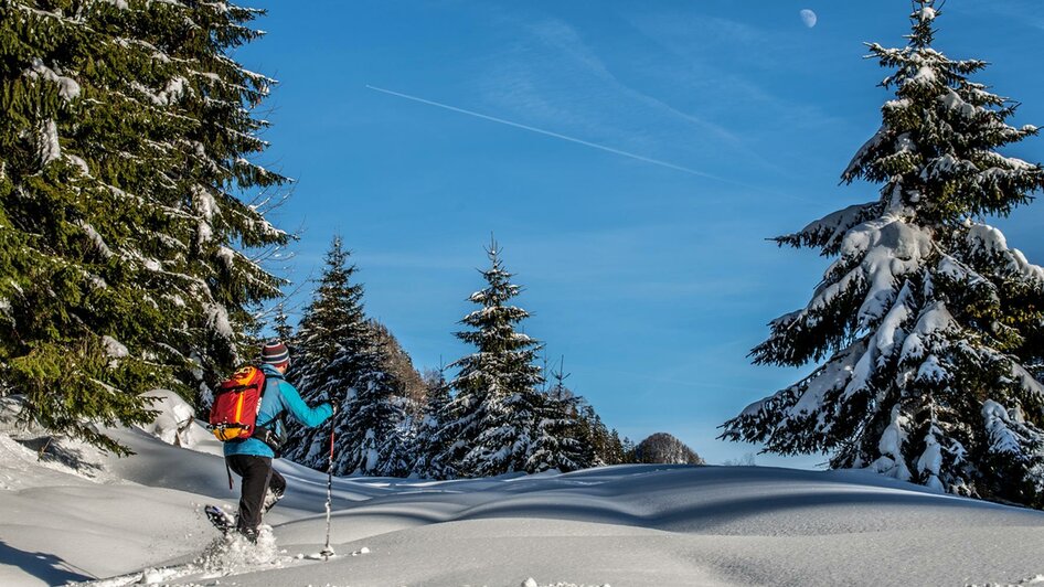 Schneeschuhwandern mit Kiki | © Christian Scheucher