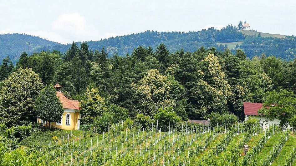 Aussicht auf die Weinberge | © Buschenschank Eckfastl