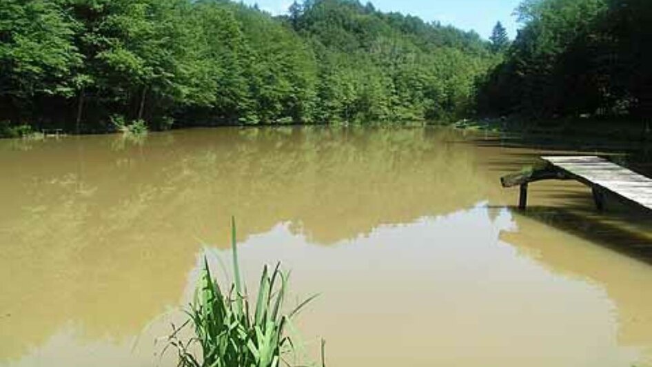 Fischerparadies Kleiner Hechtteich Eibiswald | © Fischerparadies Kleiner Hechtteich Eibiswald