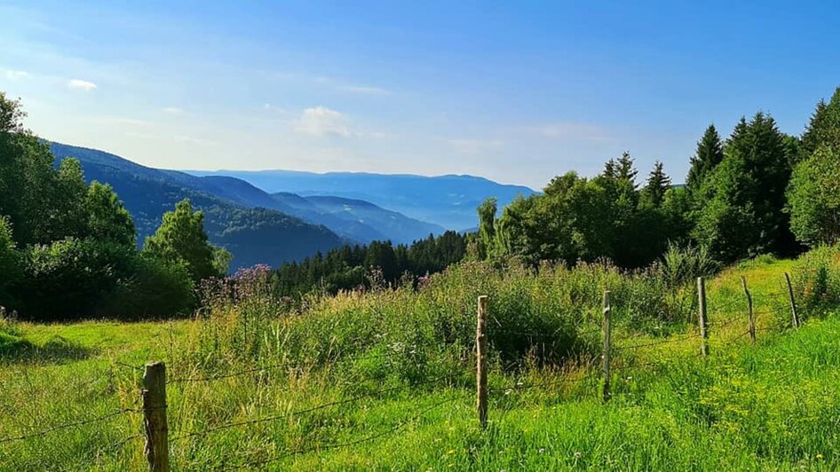 Blick ins Drautal | © Gasthof Roschitzhof