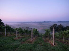 Ausblick vom Buschenschank Krenn ins Raabtal | © Krenn-Kniely