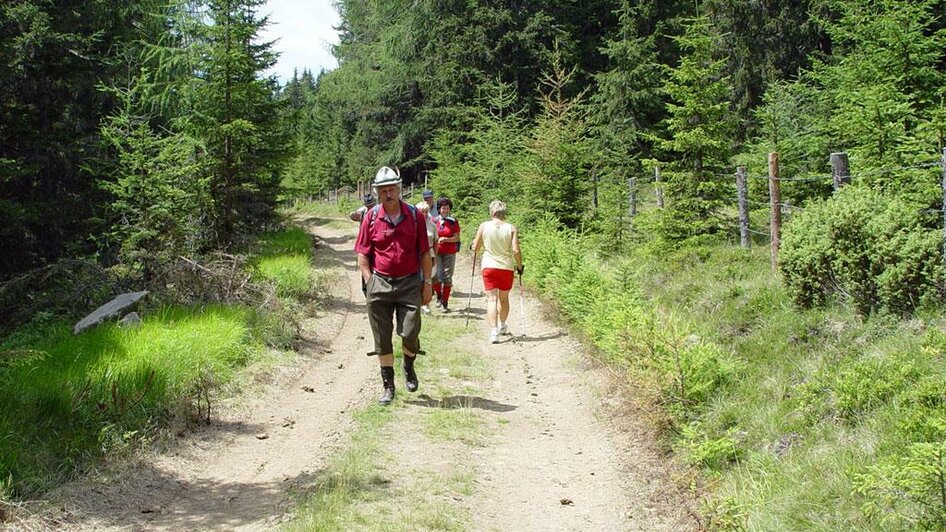 Wandern auf der Pack | © Steirischen Rucksackdörfer