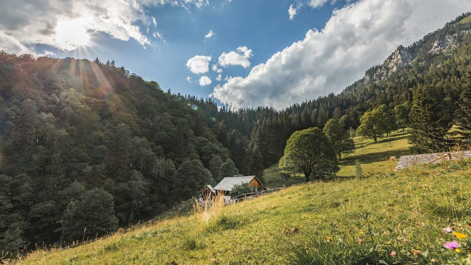 Die Kölblalm | © Thomas Sattler