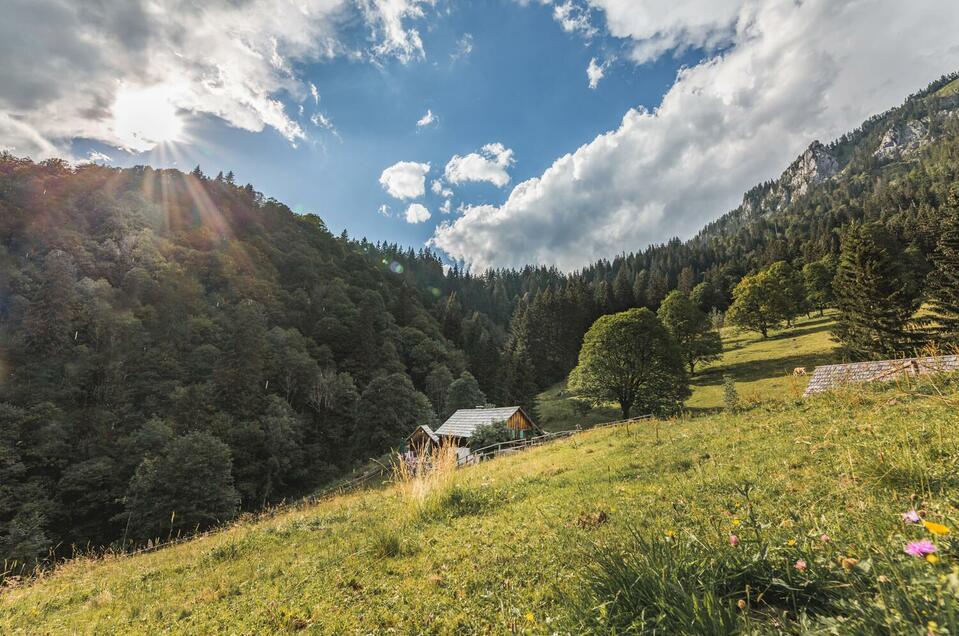 Kölblalm - Impression #1 | © Thomas Sattler