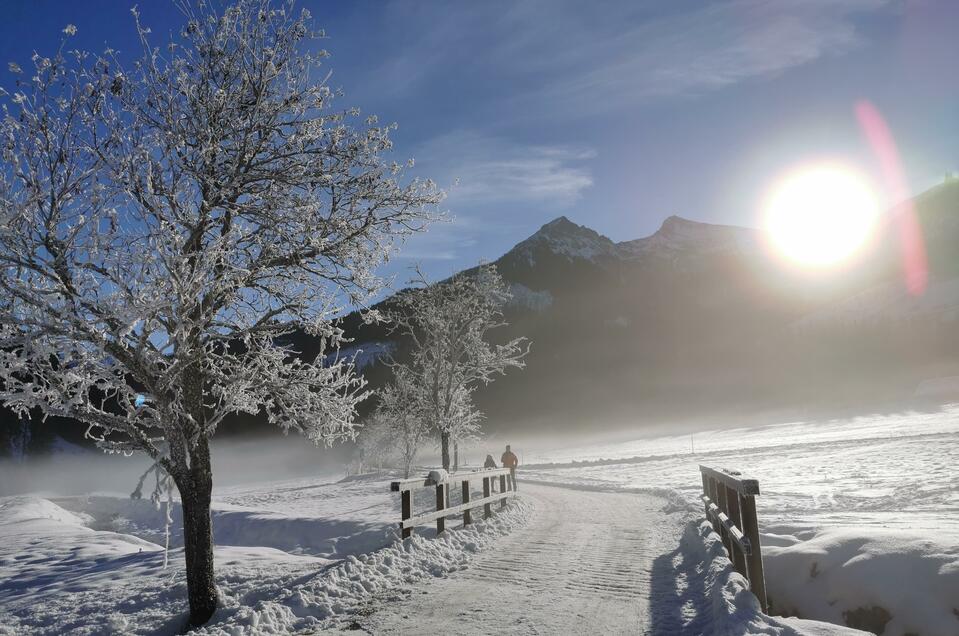 Cross-country skiing in the Eisenerz Ramsau - Impression #1 | © NAZ Ausbildungscampus GmbH