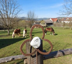 Pferdehof Decker | © Pferdehof Decker