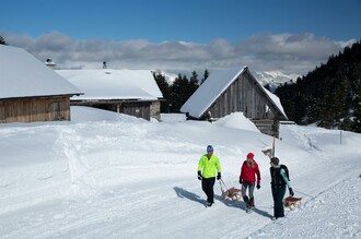 Rodeln-Hohentauern-Murtal-Steiermark | © Erlebnisregion Murtal